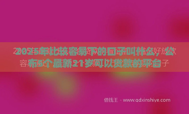 2025年比较容易下的口子叫什么，公布5个最新21岁可以贷款的平台
