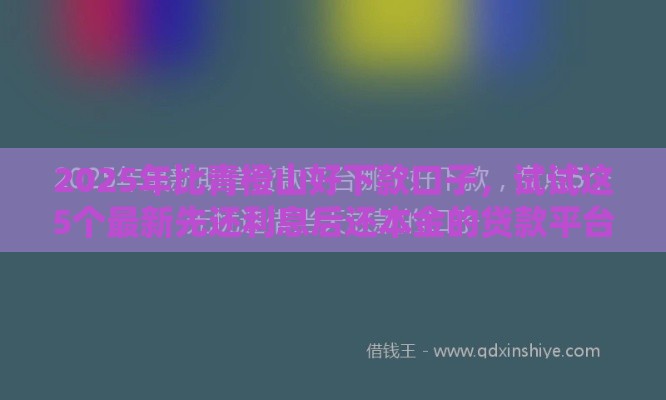 2025年比青橙山好下款口子，试试这5个最新先还利息后还本金的贷款平台