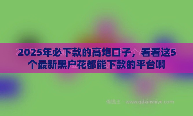 2025年必下款的高炮口子，看看这5个最新黑户花都能下款的平台啊