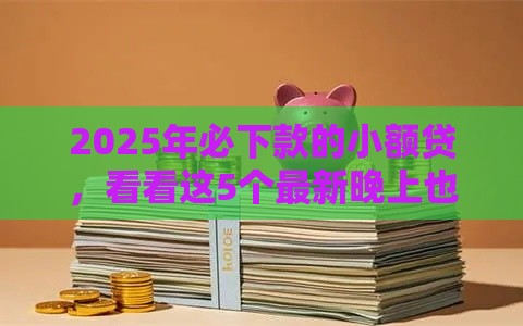 2025年必下款的小额贷，看看这5个最新晚上也能秒下款的口子