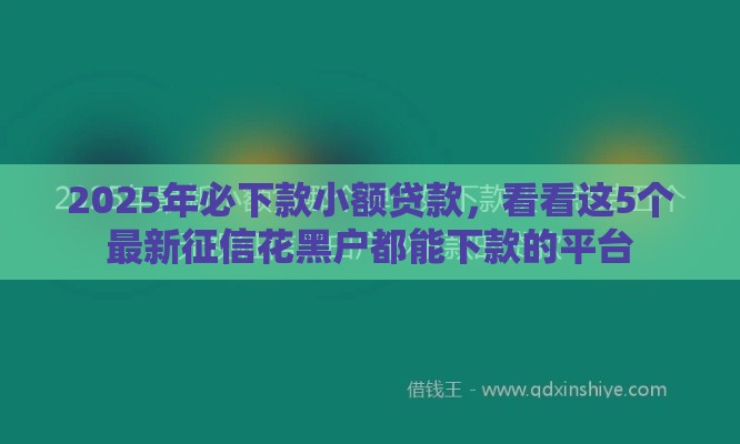 2025年必下款小额贷款，看看这5个最新征信花黑户都能下款的平台