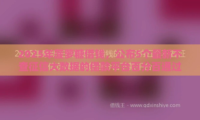 2025年菠萝糖借钱，公布5个最新不查征信大数据的借款平台百分百通过