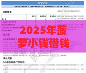 2025年菠萝小钱借钱，分享5个最新借款平台容易通过不看征信