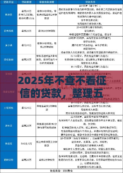 2025年不查不看征信的贷款，整理五个最新所有网贷平台