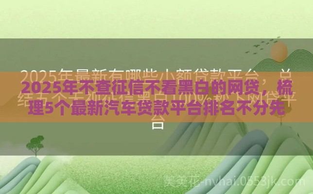 2025年不查征信不看黑白的网贷，梳理5个最新汽车贷款平台排名不分先后前十