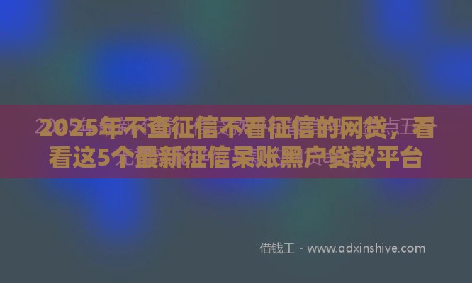 2025年不查征信不看征信的网贷，看看这5个最新征信呆账黑户贷款平台