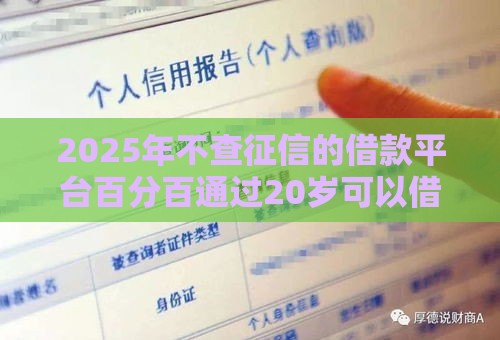 2025年不查征信的借款平台百分百通过20岁可以借吗，推荐5个最新借款平台容易通过