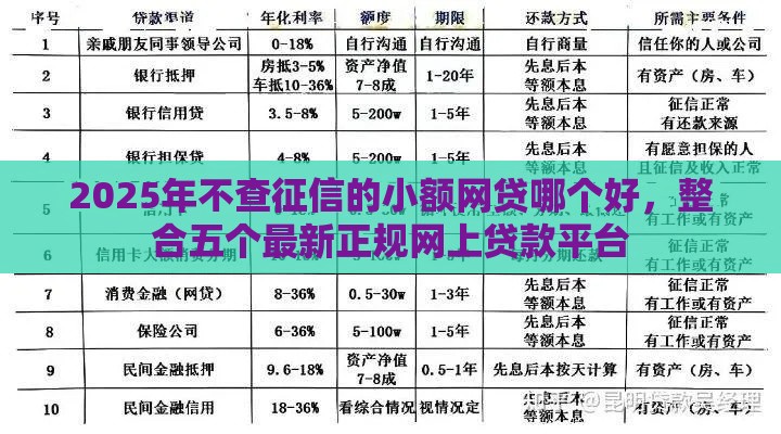 2025年不查征信的小额网贷哪个好，整合五个最新正规网上贷款平台