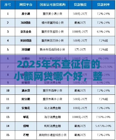 2025年不查征信的小额网贷哪个好，整合五个最新正规网上贷款平台