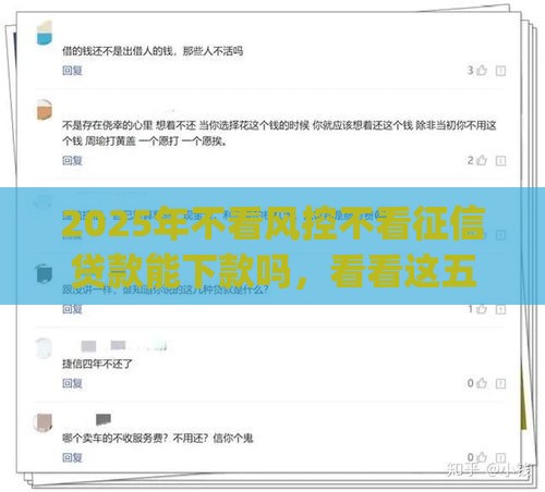 2025年不看风控不看征信贷款能下款吗，看看这五个最新网贷平台p2p
