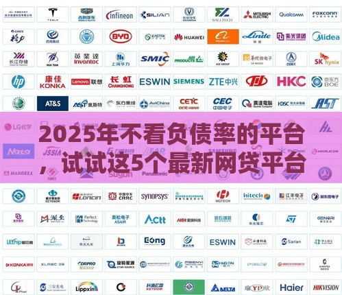 2025年不看负债率的平台，试试这5个最新网贷平台排名不分先后