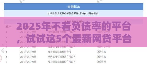 2025年不看负债率的平台，试试这5个最新网贷平台排名不分先后