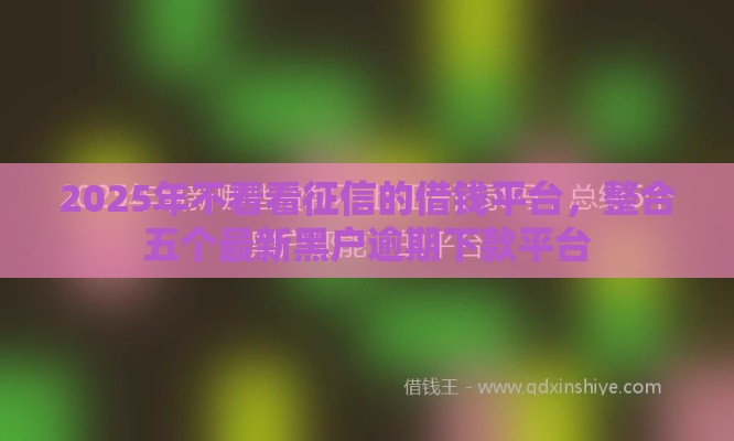 2025年不看看征信的借钱平台，整合五个最新黑户逾期下款平台