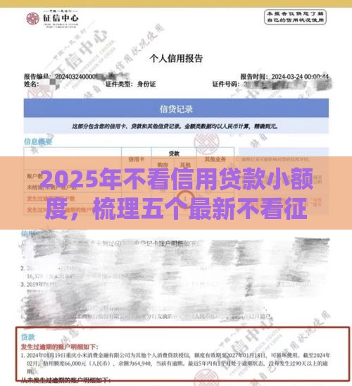 2025年不看信用贷款小额度，梳理五个最新不看征信的贷款平台
