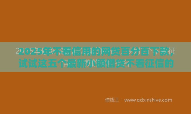 2025年不看信用的网贷百分百下款，试试这五个最新小额借贷不看征信的平台