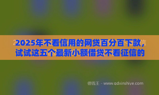 2025年不看信用的网贷百分百下款，试试这五个最新小额借贷不看征信的平台