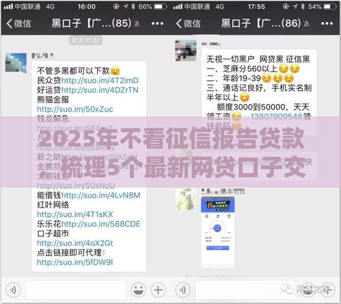 2025年不看征信报告贷款，梳理5个最新网贷口子交流论坛