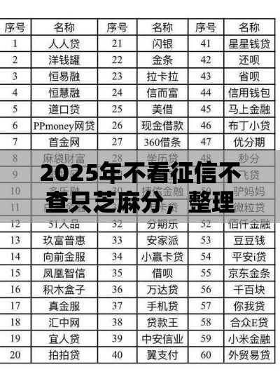 2025年不看征信不查只芝麻分，整理5个最新不要征信的网贷平台
