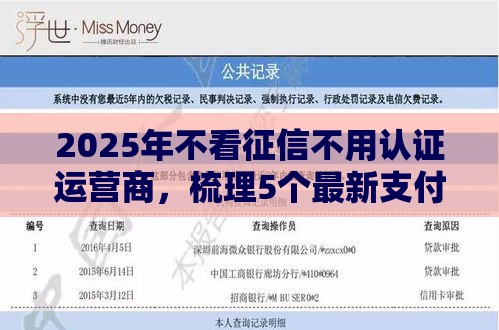 2025年不看征信不用认证运营商，梳理5个最新支付宝都贷款平台
