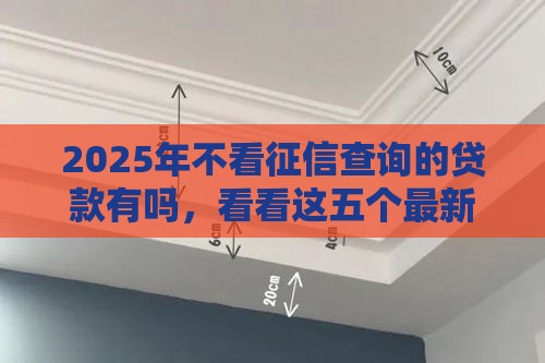 2025年不看征信查询的贷款有吗，看看这五个最新平台借钱容易通过不看征信