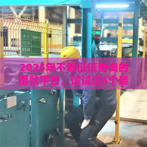 2025年不看征信查询的借款平台，试试这5个最新应急贷款平台