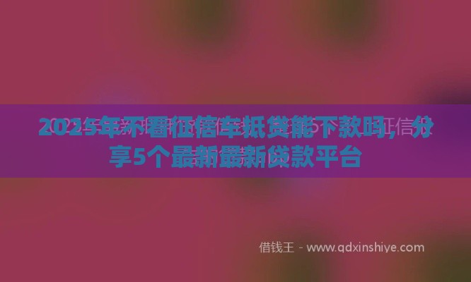 2025年不看征信车抵贷能下款吗，分享5个最新最新贷款平台