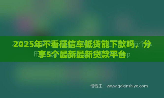 2025年不看征信车抵贷能下款吗，分享5个最新最新贷款平台