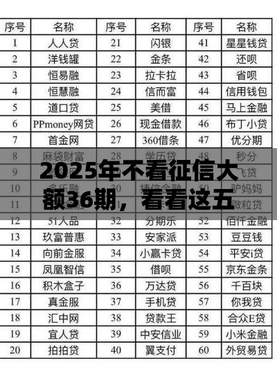 2025年不看征信大额36期，看看这五个最新网贷平台都