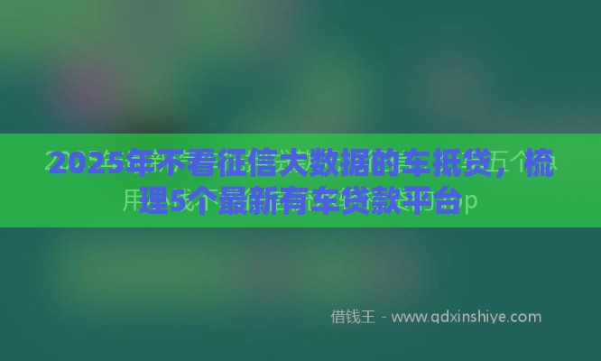 2025年不看征信大数据的车抵贷，梳理5个最新有车贷款平台