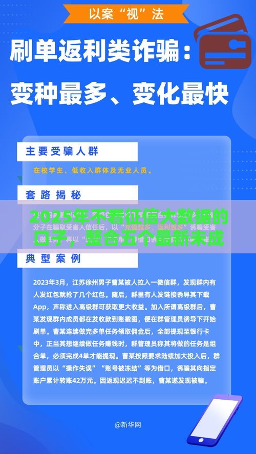 2025年不看征信大数据的口子，整合五个最新未成年贷款的平台