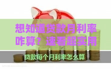 想知道贷款月利率咋算？速看超实用计算攻略
