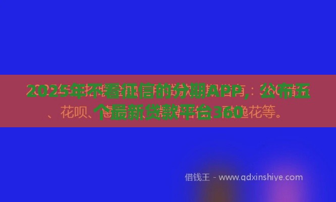 2025年不看征信的分期APP，公布五个最新贷款平台360