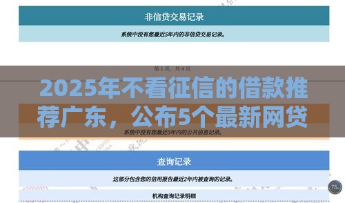 2025年不看征信的借款推荐广东，公布5个最新网贷平台可以贷款
