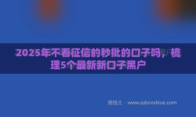 2025年不看征信的秒批的口子吗，梳理5个最新新口子黑户