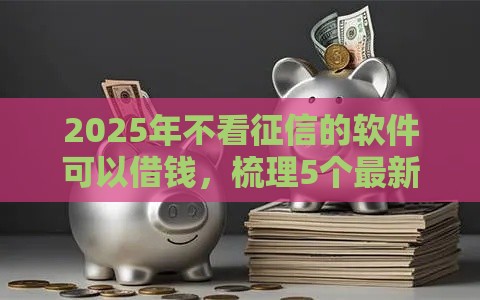 2025年不看征信的软件可以借钱，梳理5个最新个人小额贷款平台