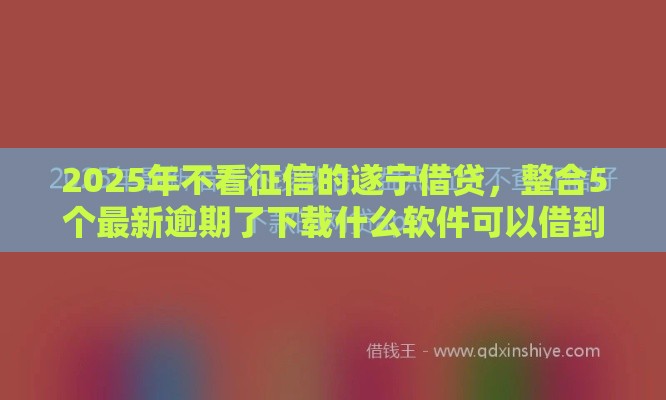 2025年不看征信的遂宁借贷，整合5个最新逾期了下载什么软件可以借到钱