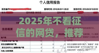 2025年不看征信的网贷，推荐5个最新有什么网贷平台