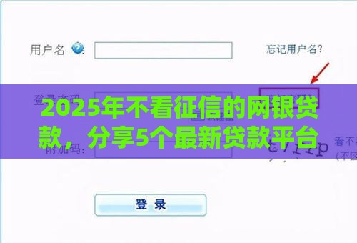 2025年不看征信的网银贷款，分享5个最新贷款平台好通过