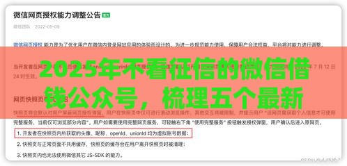 2025年不看征信的微信借钱公众号，梳理五个最新2025黑户借款必下大额口子
