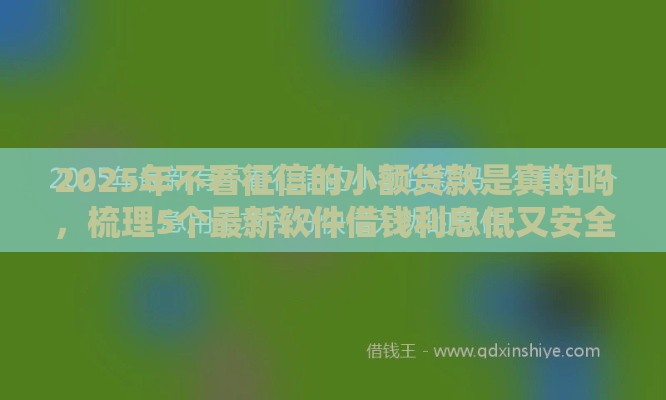 2025年不看征信的小额货款是真的吗，梳理5个最新软件借钱利息低又安全