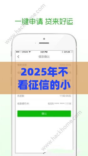 2025年不看征信的小额信用贷款，公布五个最新公司贷款平台