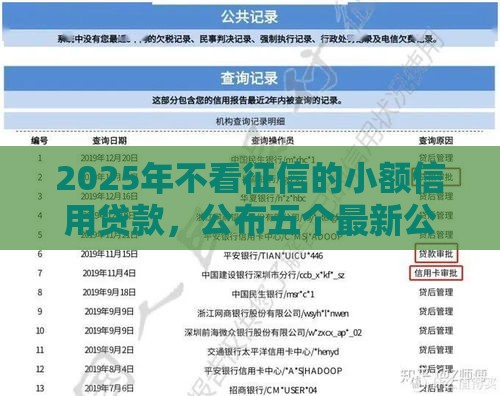 2025年不看征信的小额信用贷款，公布五个最新公司贷款平台