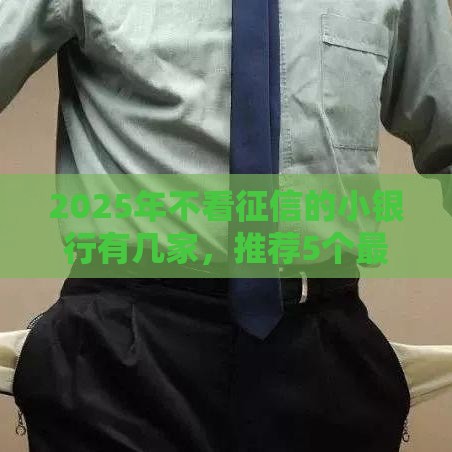 2025年不看征信的小银行有几家，推荐5个最新网络平台借钱比较可靠