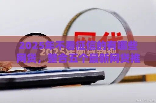 2025年不看征信的有哪些网贷，整合五个最新网贷推广平台