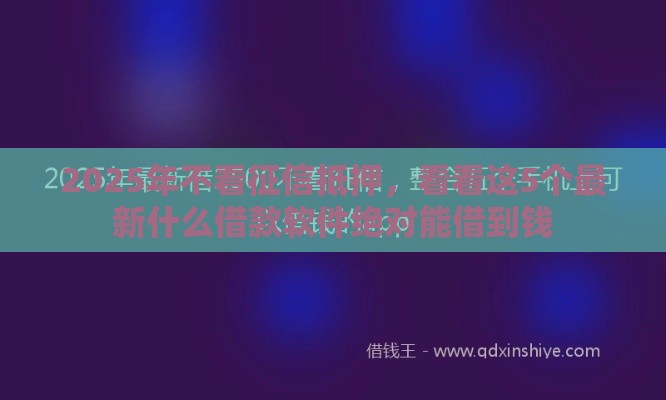 2025年不看征信抵押，看看这5个最新什么借款软件绝对能借到钱