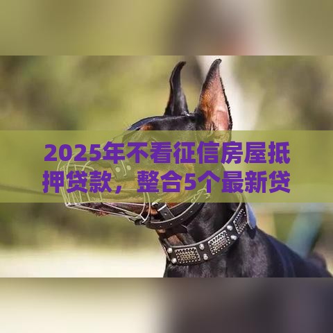 2025年不看征信房屋抵押贷款，整合5个最新贷款平台怎么投诉