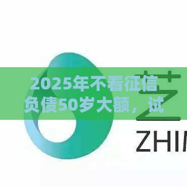 2025年不看征信负债50岁大额,试试这5个最新支付宝可以借钱的平台 2025年不看征信负债50岁大额,试试这5个最新支付宝可以借钱的平台