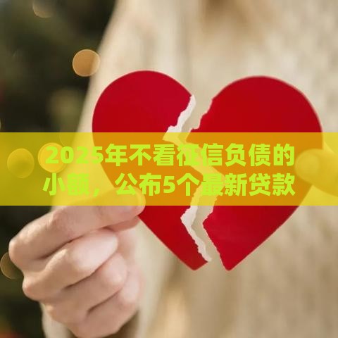 2025年不看征信负债的小额，公布5个最新贷款借款平台好