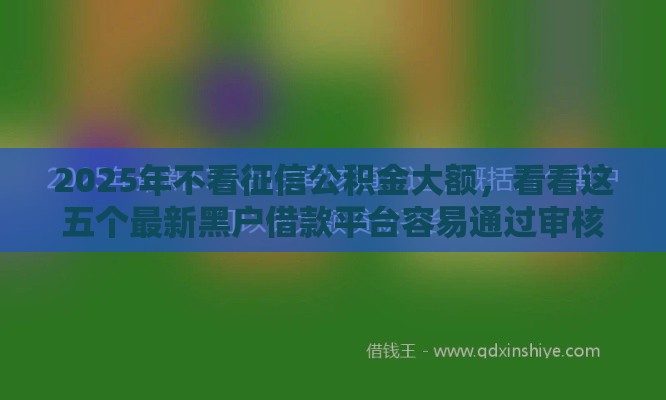 2025年不看征信公积金大额，看看这五个最新黑户借款平台容易通过审核