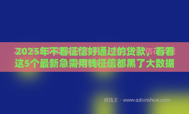 2025年不看征信好通过的贷款，看看这5个最新急需用钱征信都黑了大数据分不足有没有平台能借